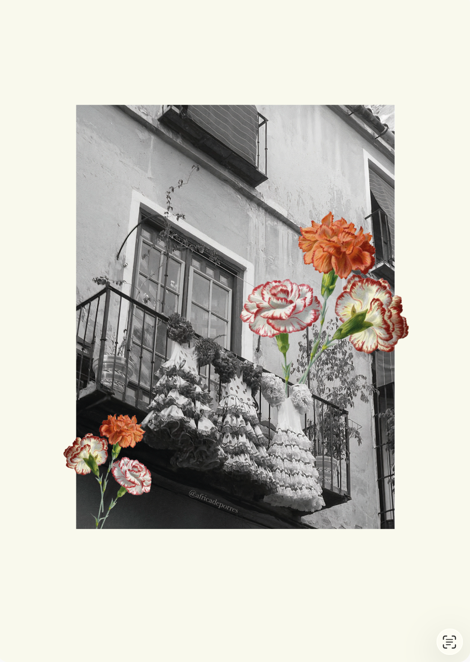 Flamencos a la calle