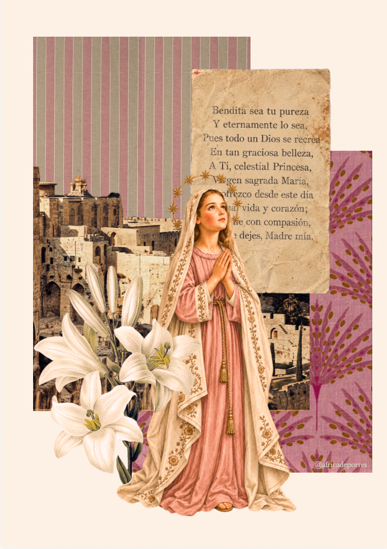 Natividad de la Virgen María